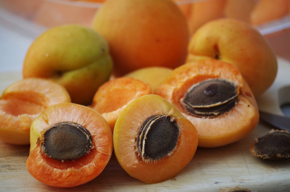 Apricots Explained: Nutrients, Health Benefits & How To Prepare