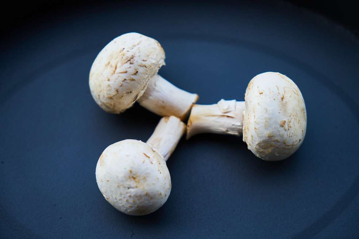Mushrooms Explained: Nutrients, Health Benefits & How To Prepare
