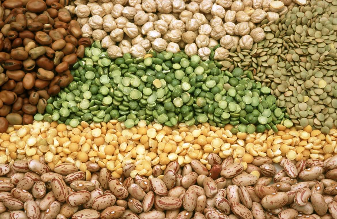 Health Benefits Of Legumes & Beans: Nutrients, Fiber & Disease Prevention