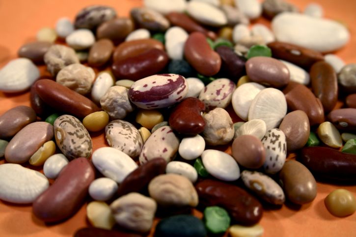 Beans Explained: Nutrients, Health Benefits & How To Prepare