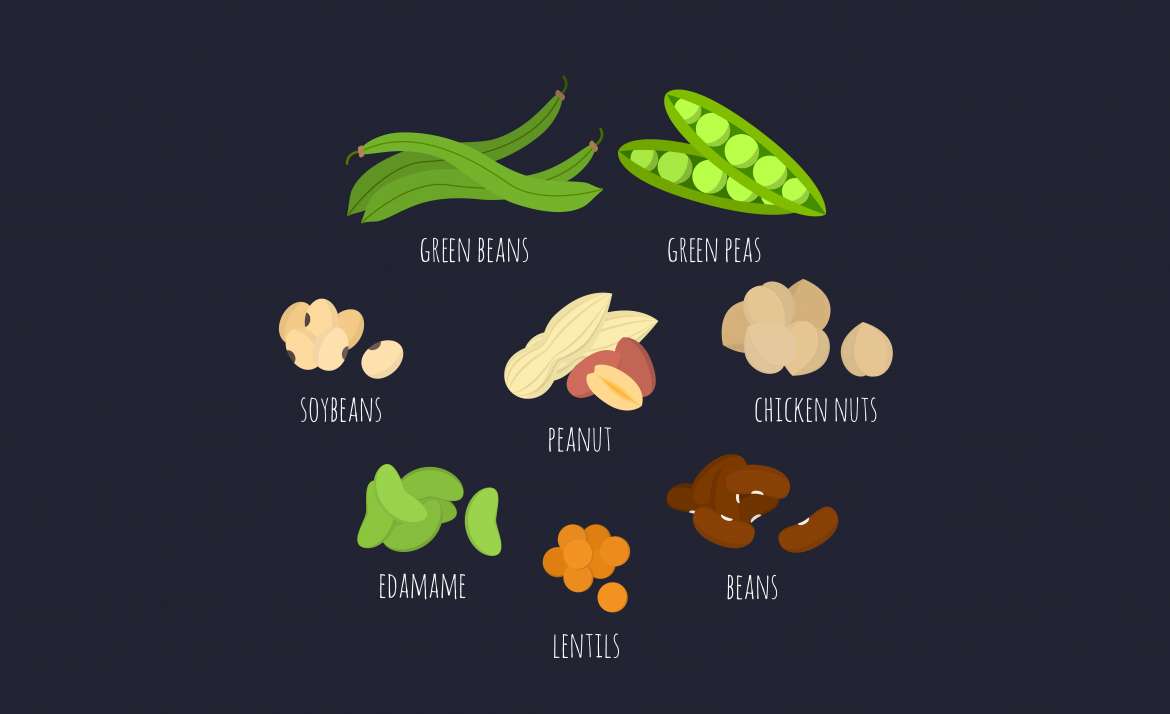 The Best Plant-Based Protein Sources Ideal For Vegans